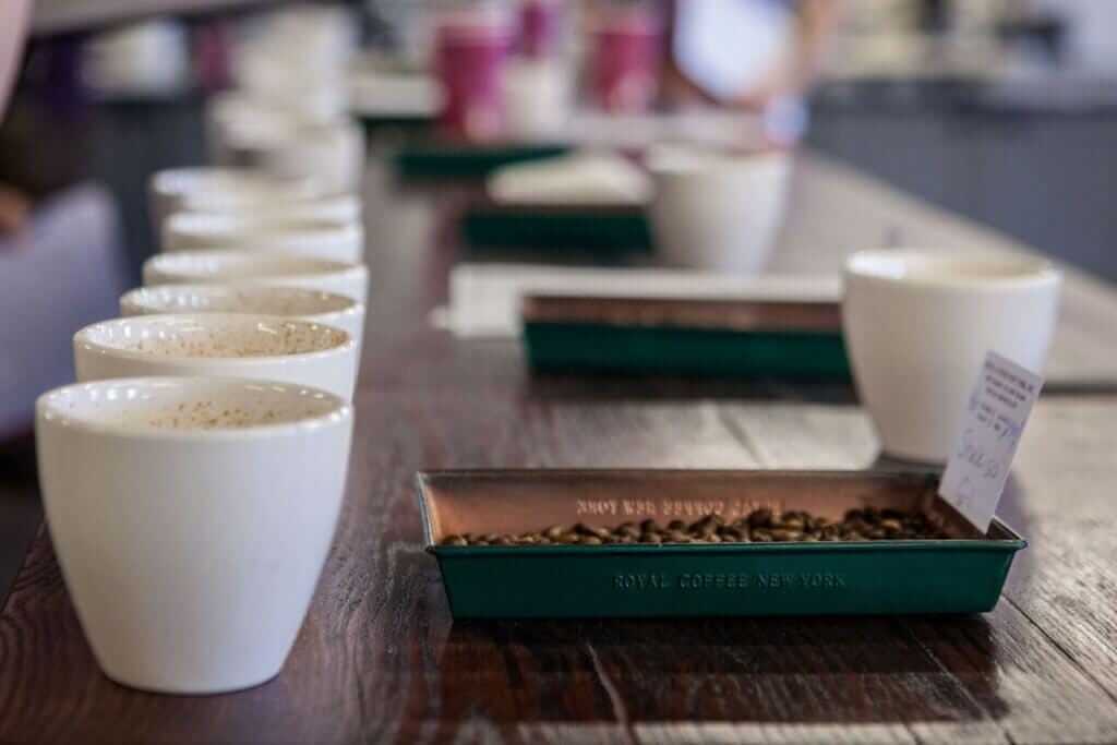 coffee cupping