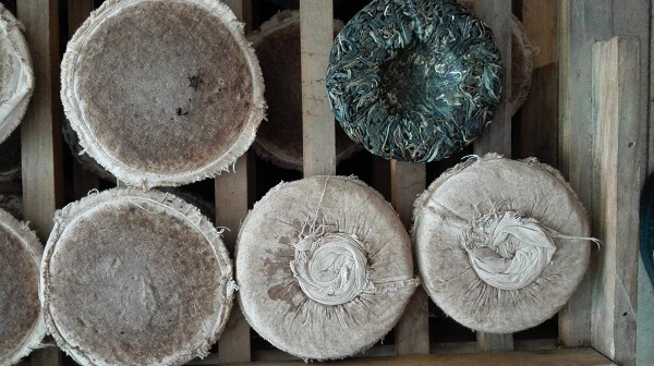 Puer tea