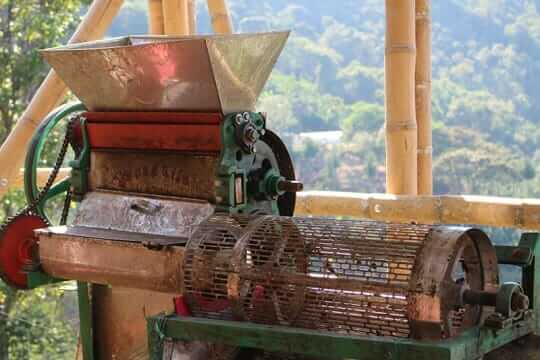 RNY on Location: Colombia Coffee Farms