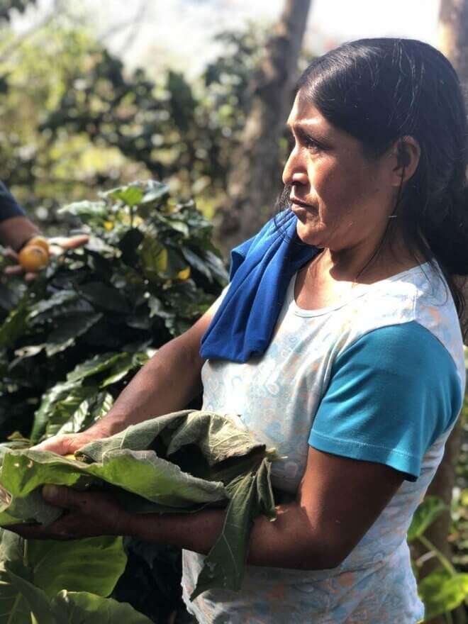 Supporting Women In Coffee: Grounds for Health