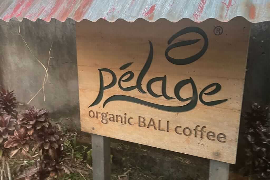 indonesian coffee pelage
