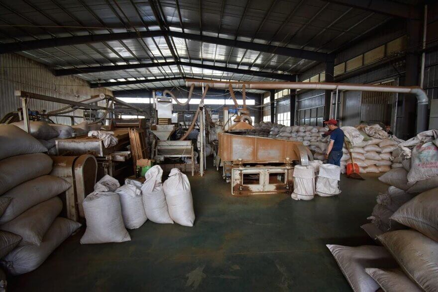 sorting and grading black tea
