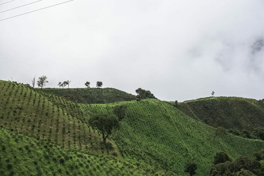 RNY on Location: Highlights from Huila