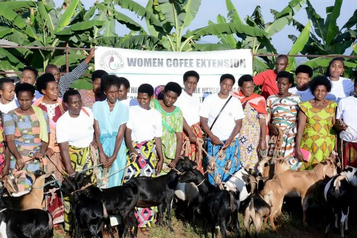 Rwanda Coffee from the Women’s Coffee Extension Kawa Yacu
