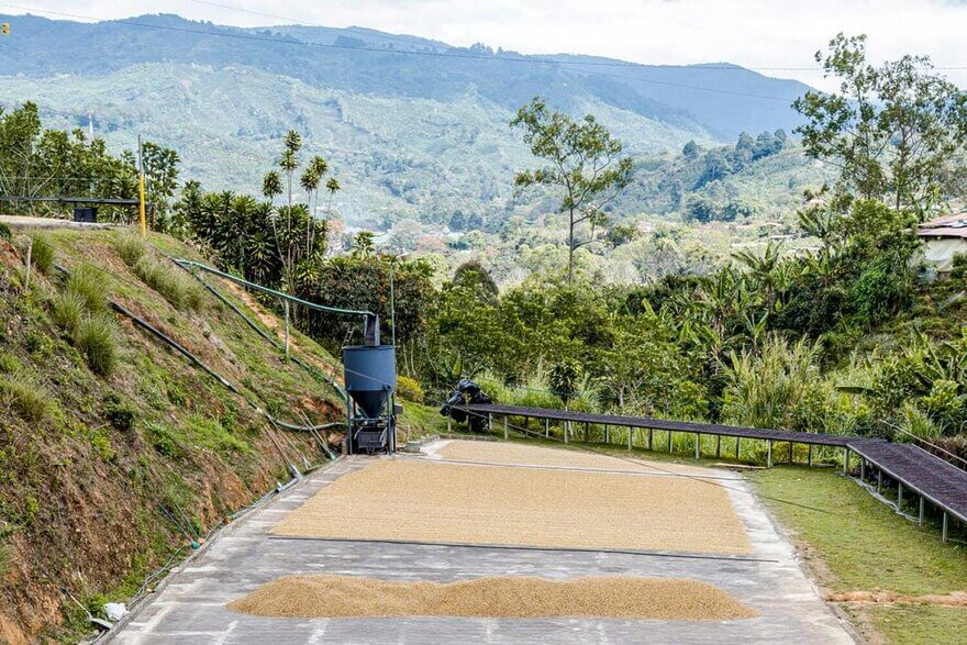 RNY on Location: Costa Rica Coffee Farm