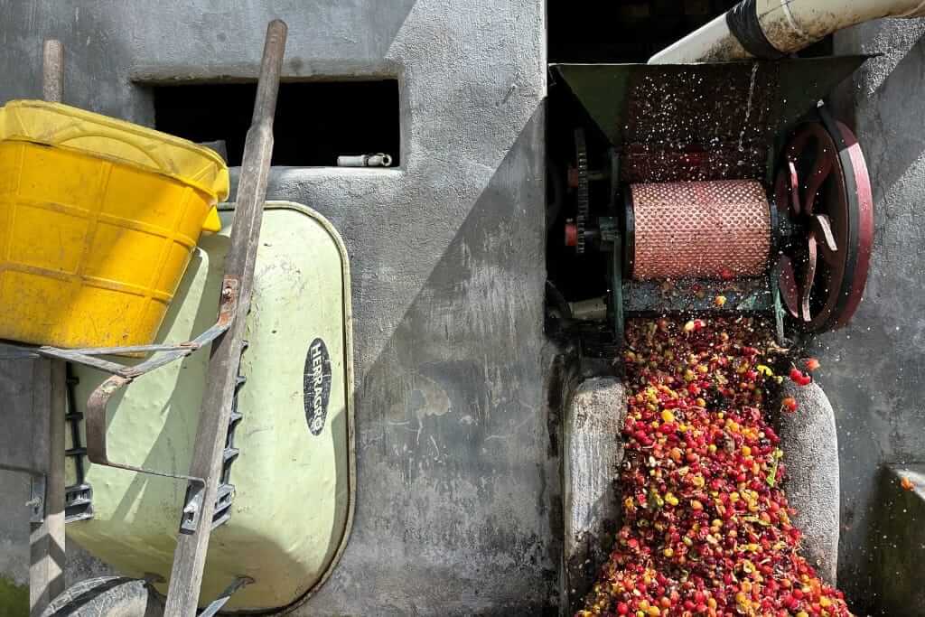 RNY On Location: Sourcing Our Huila Colombia Coffee