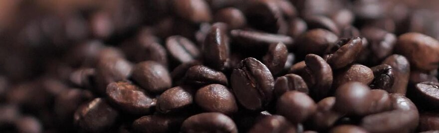 roasted brazil cerrado blog header