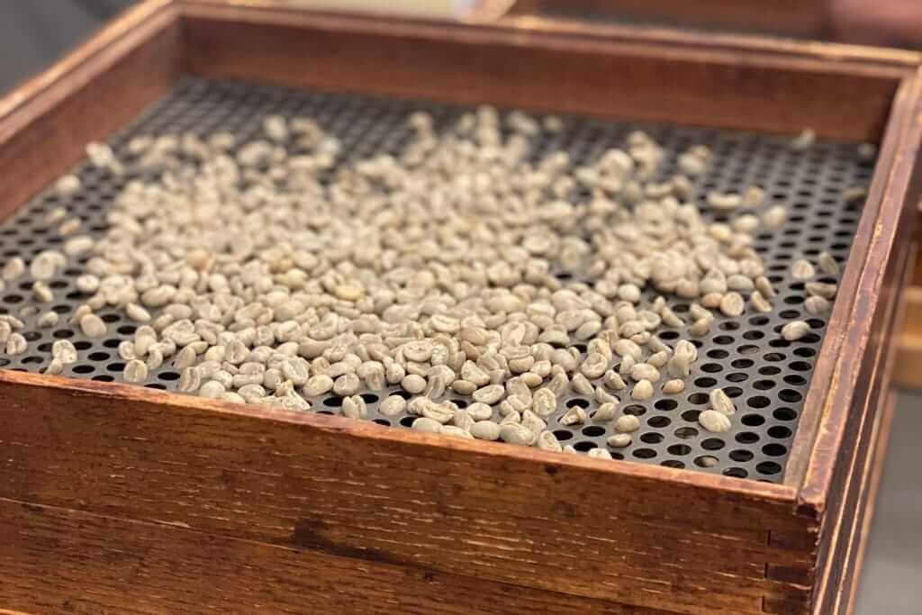 Does a coffee’s screen size impact its flavor?