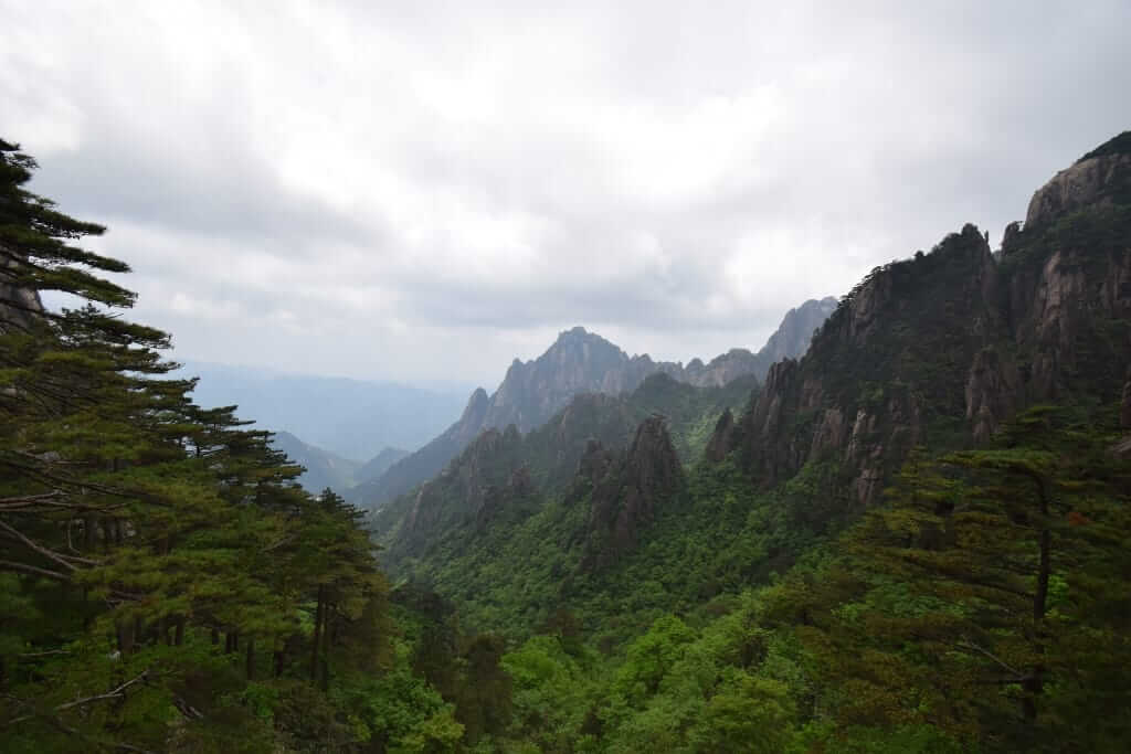 Tea Origin Spotlight: China