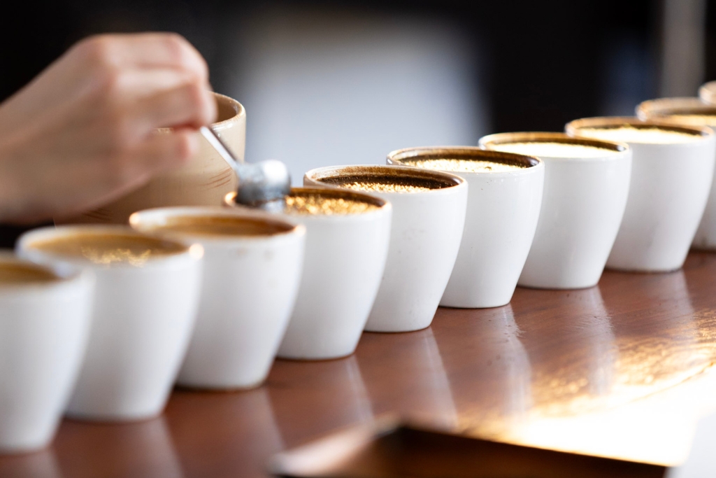 coffee cupping training
