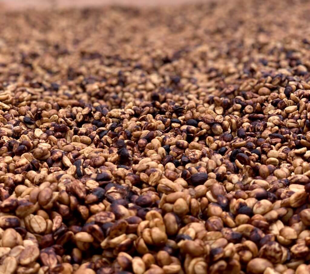 specialty honey processed coffee