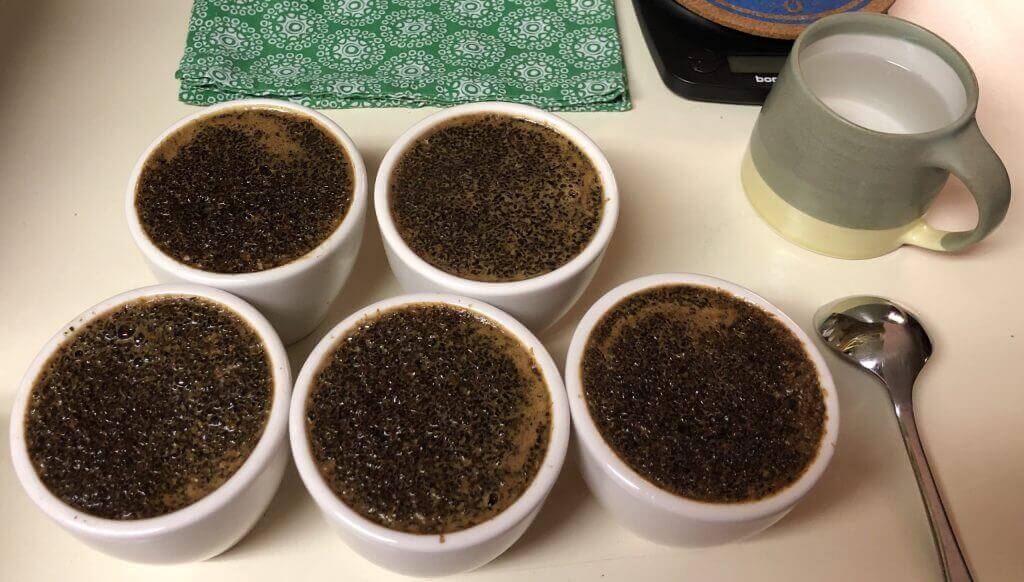 Specialty coffee cupping at Royal New York