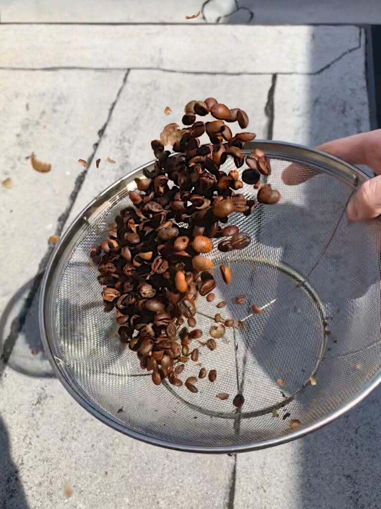 home roasted coffee in a metal strainer