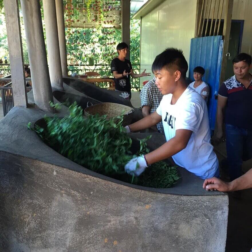puer tea