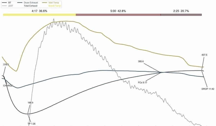 ethiopian natural roast curve