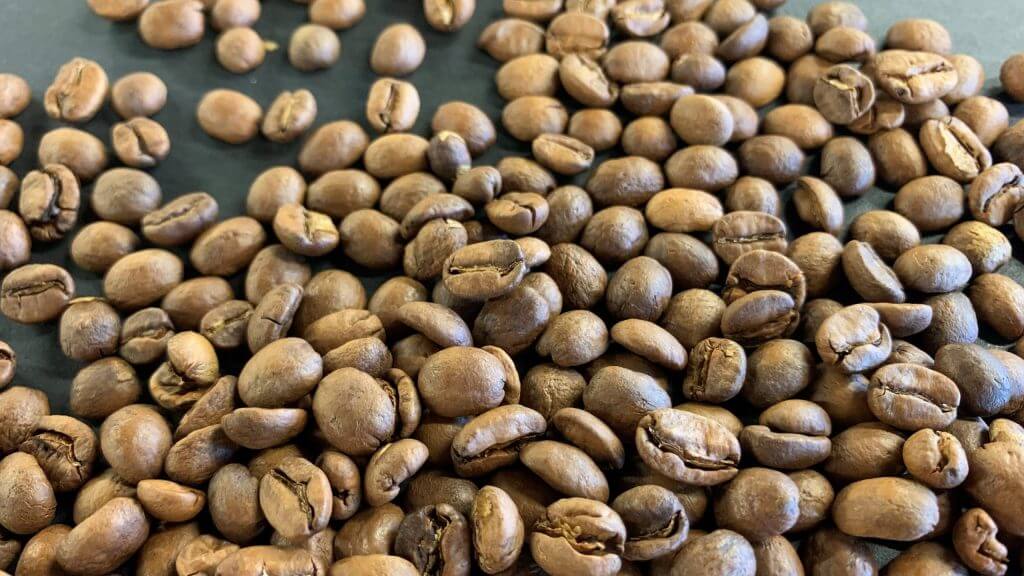 Photo of specialty coffee beans that were roasted too light