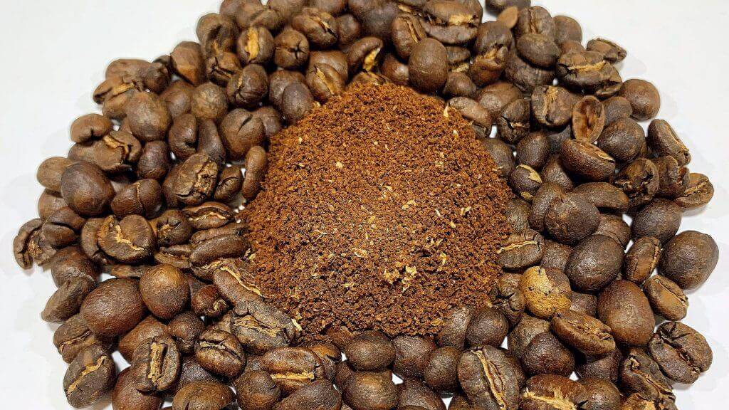 Photo of underdeveloped specialty coffee beans