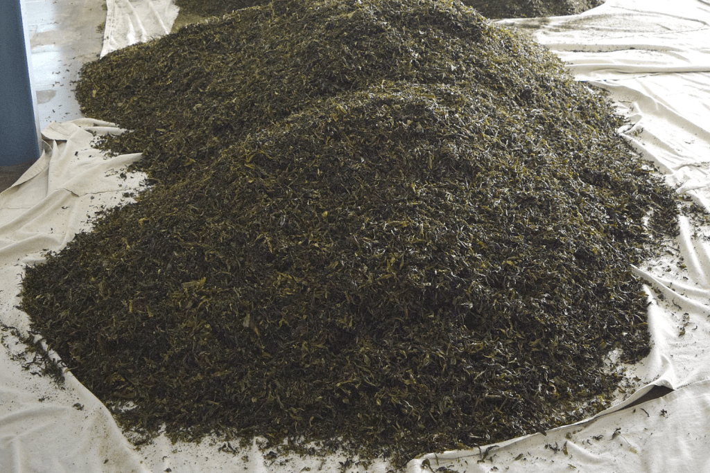 specialty black teas