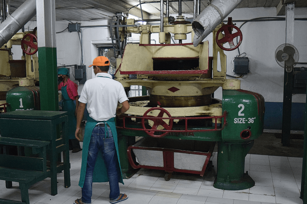 specialty black tea production