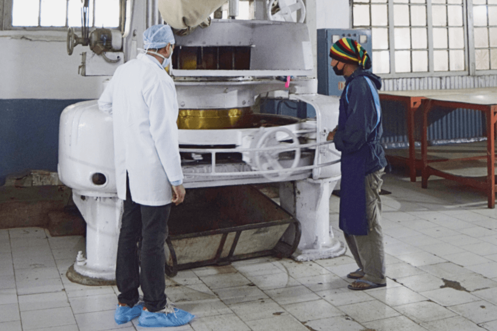 Oolong tea processing