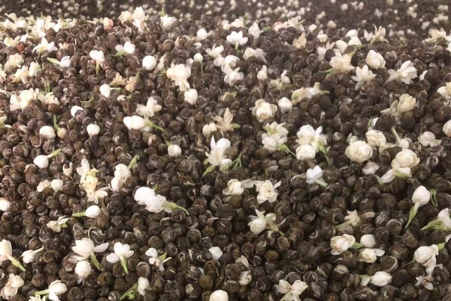 scenting green tea with jasmine blossoms