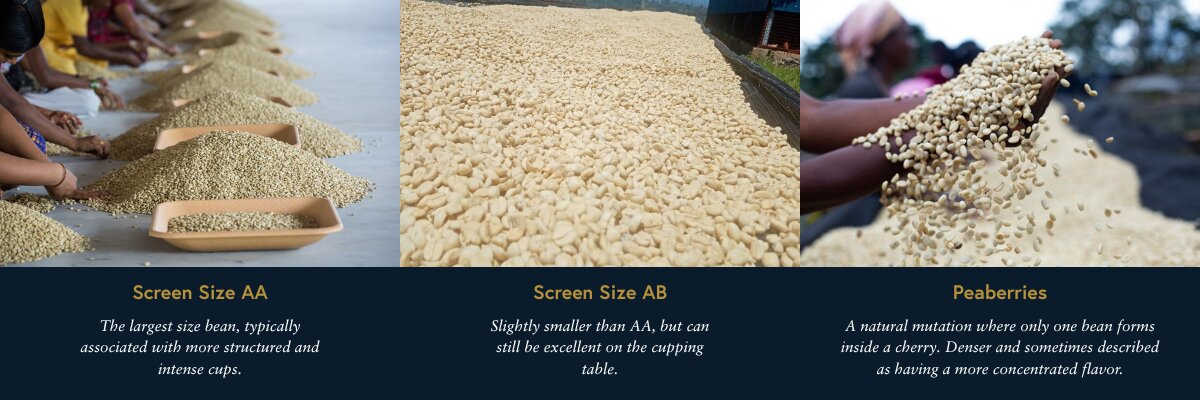 size-based coffee grades