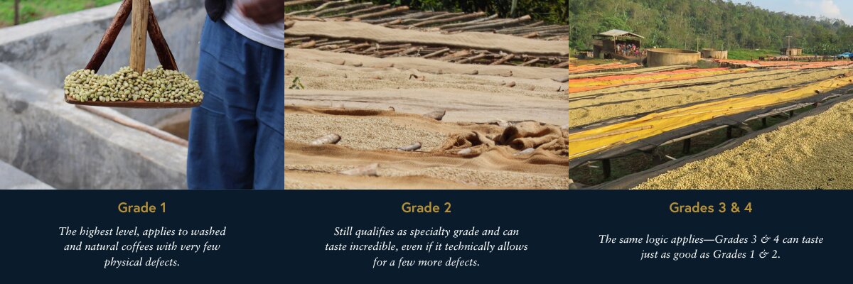 defect-based coffee grades