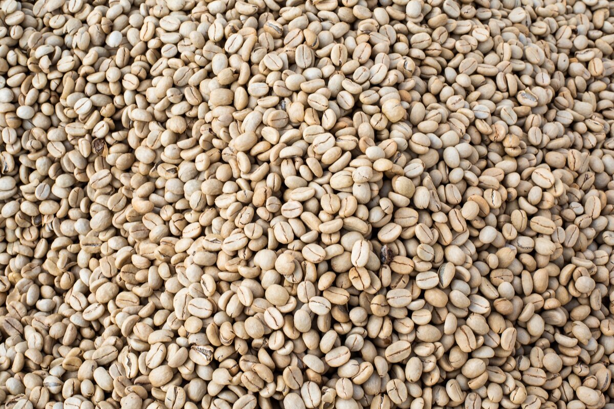 washed coffee
