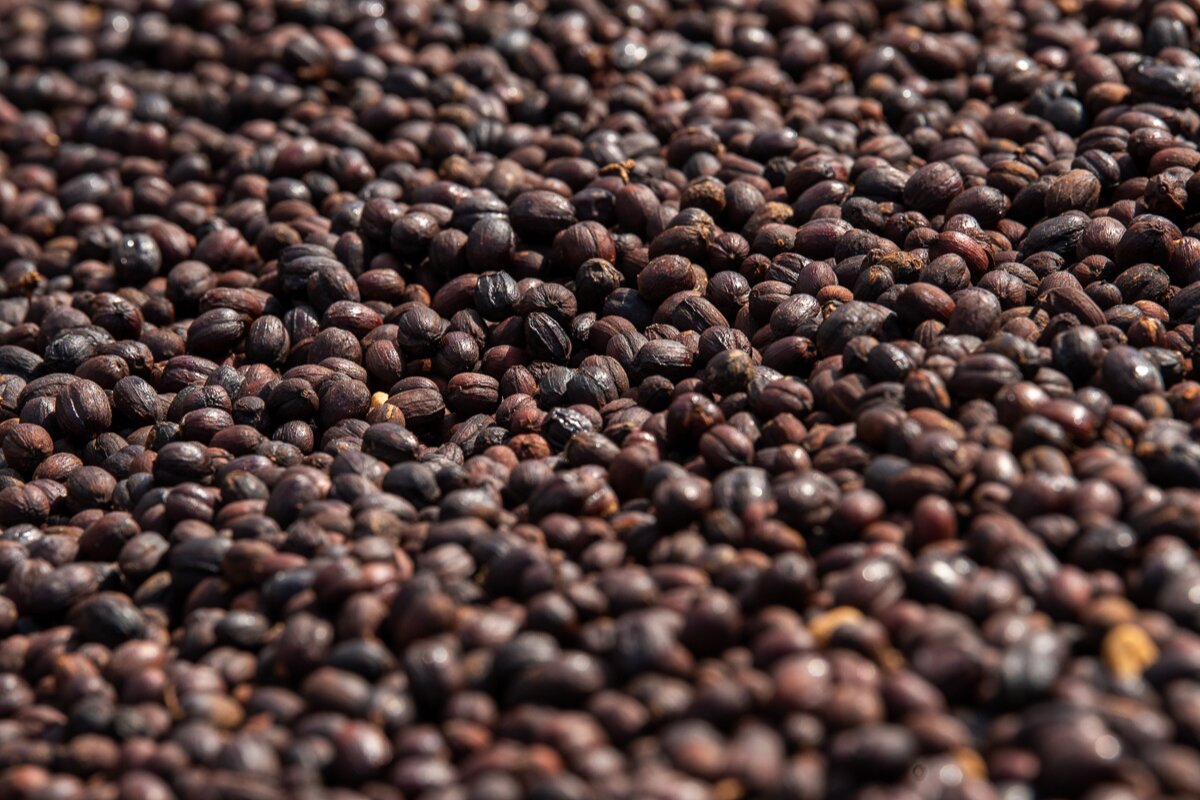 natural coffee