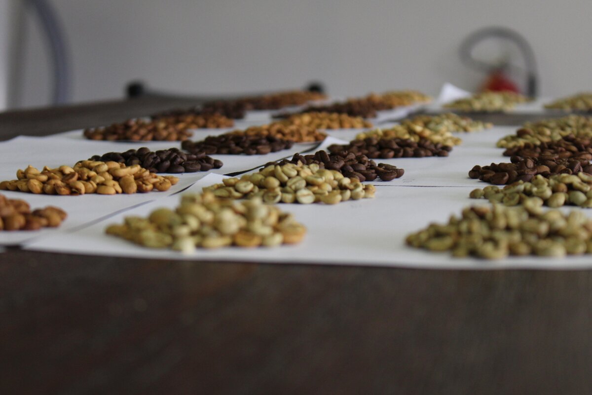 coffee roasting color change