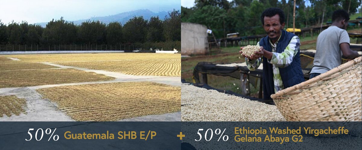 light roast holiday coffee blend