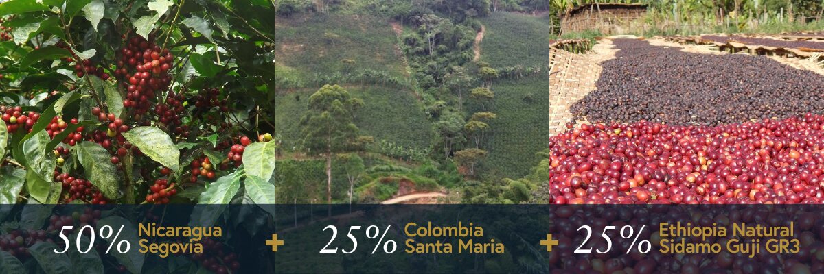 medium roast holiday coffee blend