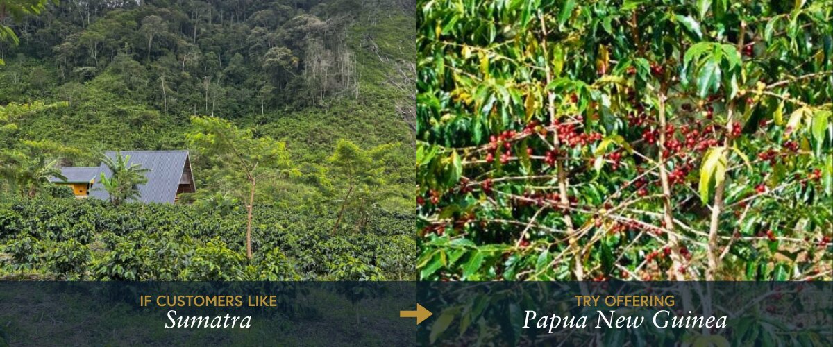 single origin dark roast swap