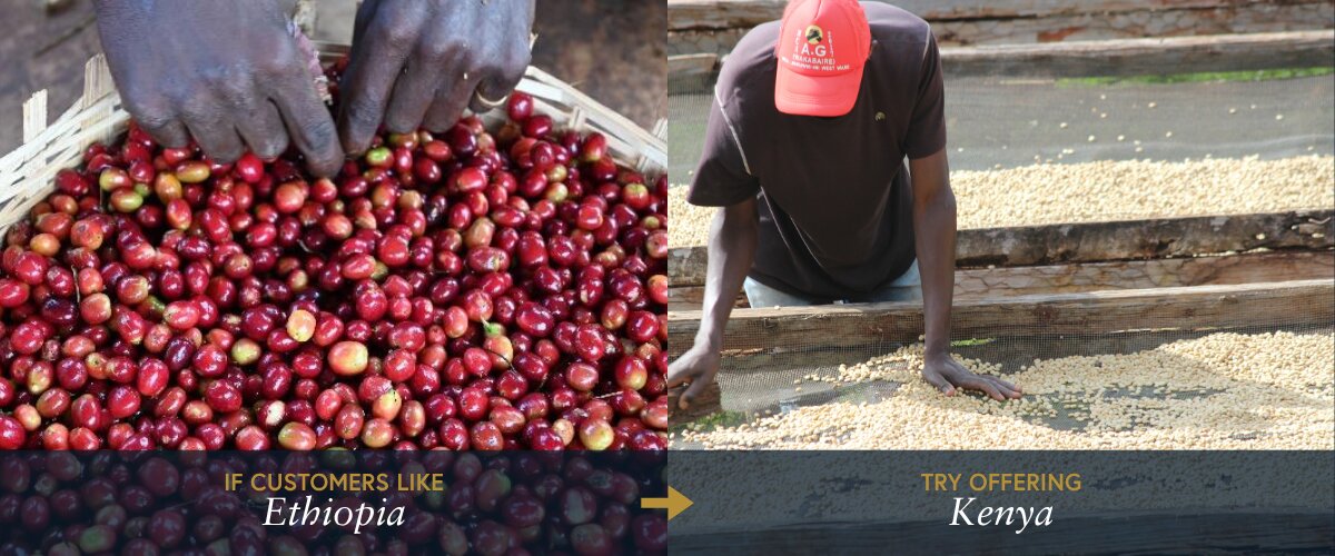 single origin light roast swap