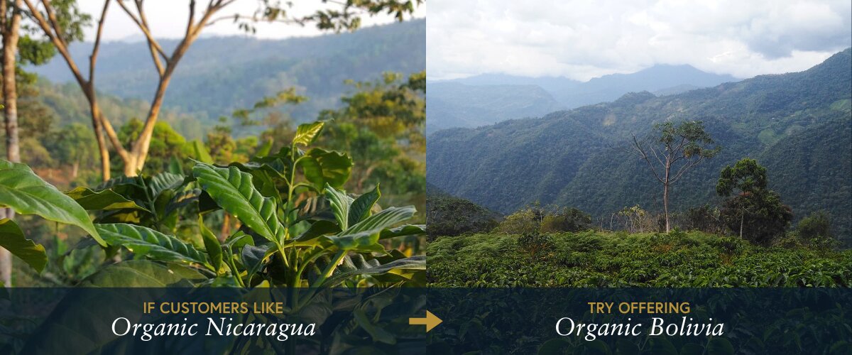 single origin medium roast swap