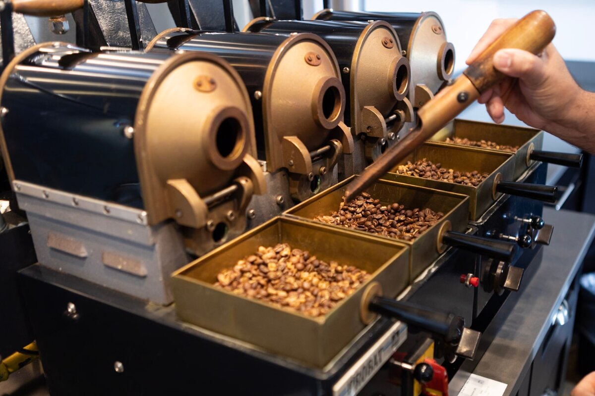Moving from a Sample Roast to a Production Roast