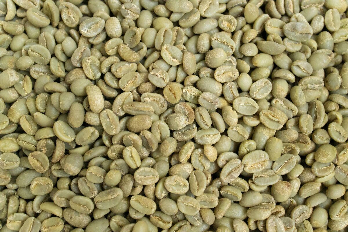 Quality in Practice: Adjusting Roast Profiles as Green Coffee Ages