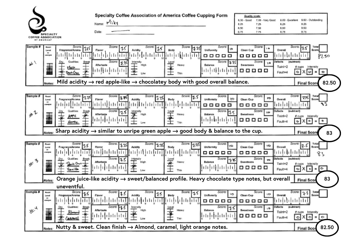'04 SCA scorecard