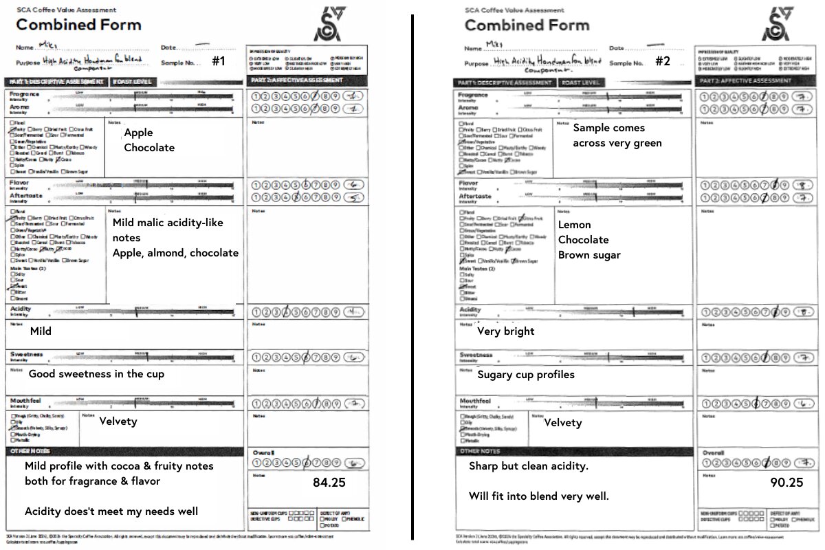SCA CVA descriptive and affective forms for samples 1 and 2