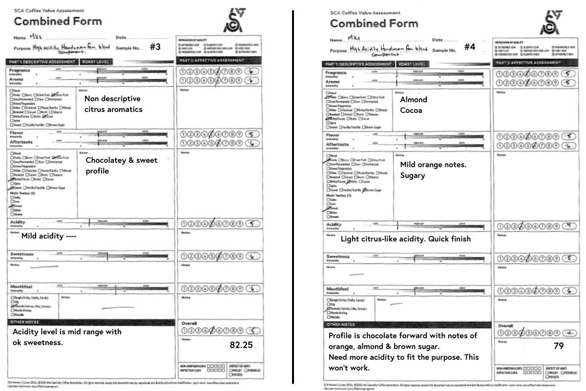 SCA CVA descriptive and affective forms for samples 3 and 4