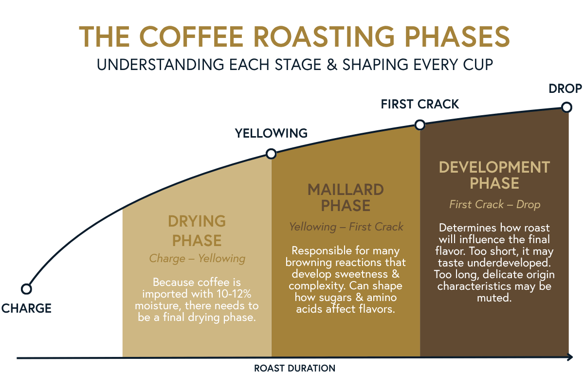 coffee roast phases graph from Royal New York