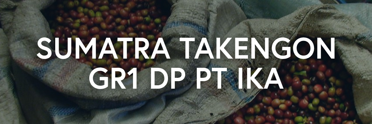 Sumatra Takengon GR1 DP PT IKA Coffee from Indonesia