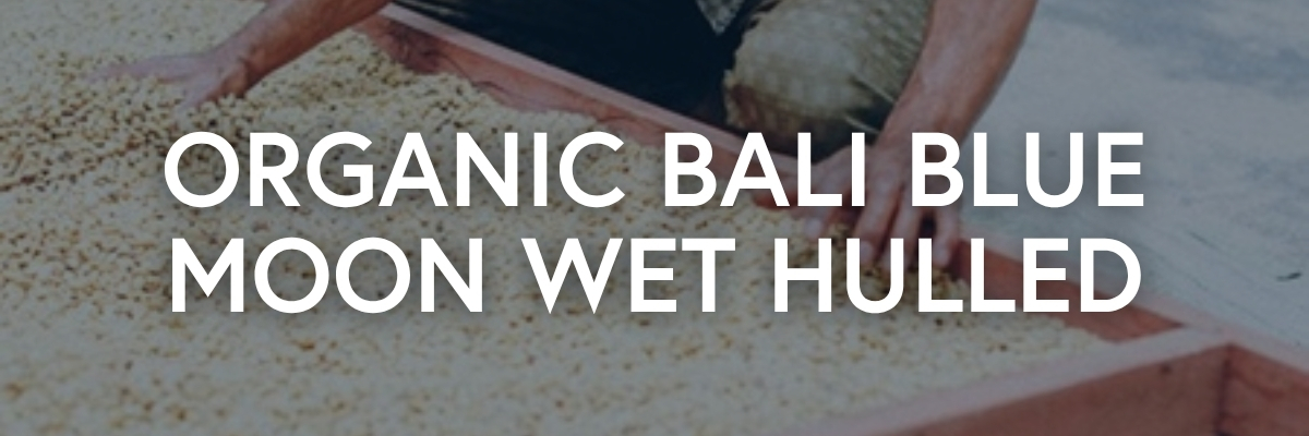 Organic Bali Blue Moon Wet Hulled Coffee from Indonesia