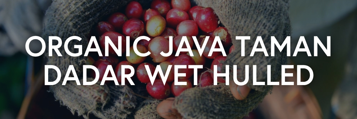 Organic Java Taman Dadar Wet Hulled