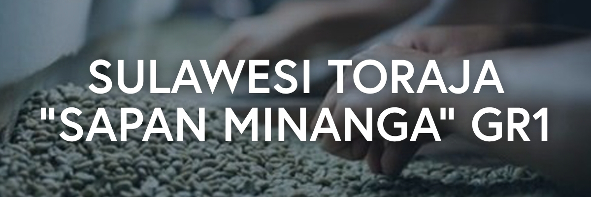 Sulawesi Toraja "Sapan Minanga" GR1 Indonesian Coffee
