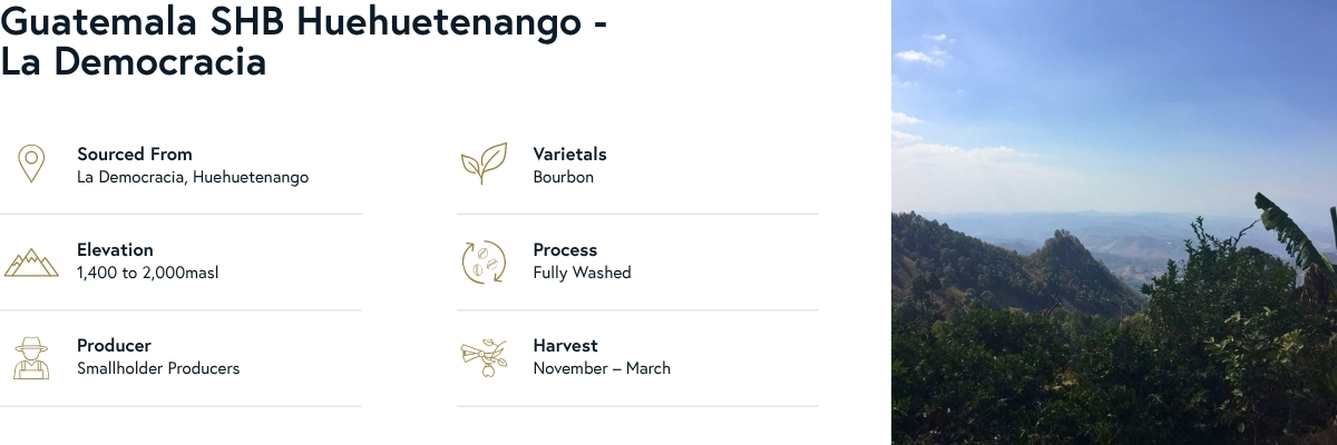 Guatemala SHB Huehuetenango - La Democracia Product Info