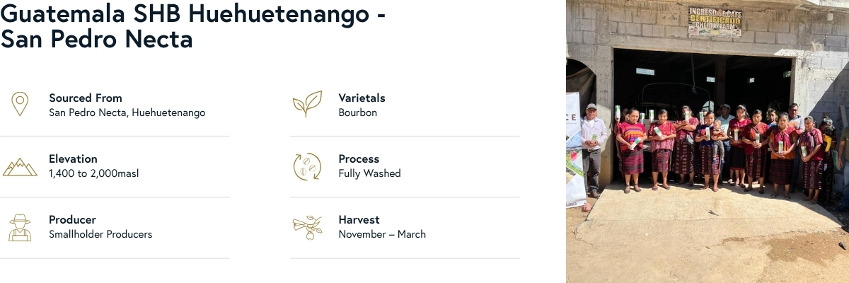 Guatemala SHB Huehuetenango - San Pedro Necta Coffee Details
