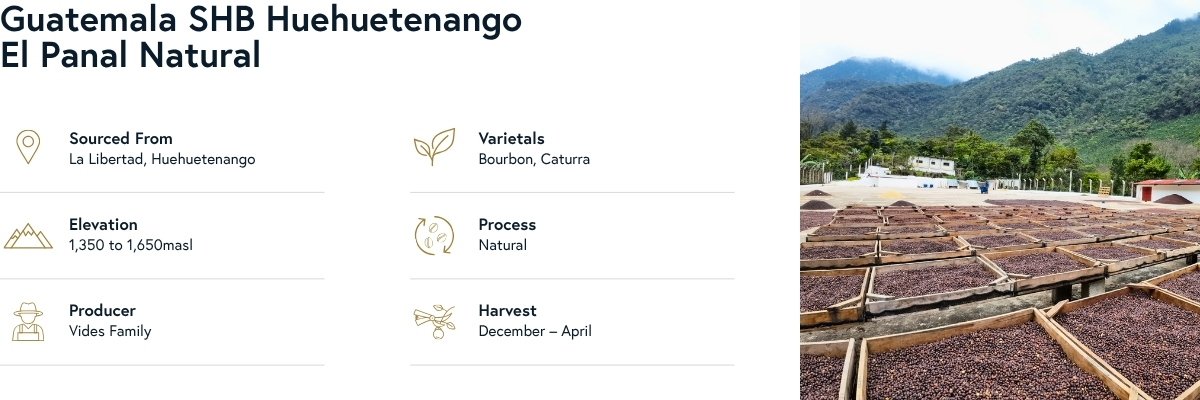 Guatemala SHB Huehuetenango El Panal Natural Product Info