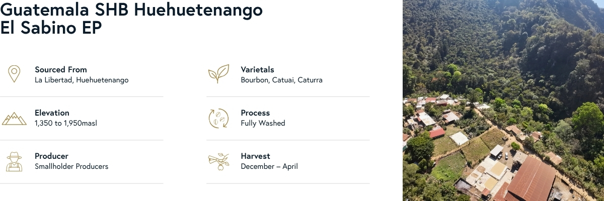 Guatemala SHB Huehuetenango El Sabino EP Coffee Details