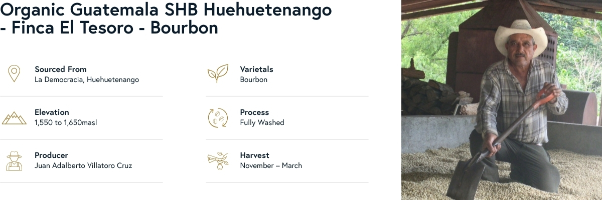 Organic Guatemala SHB Huehuetenango - Finca El Tesoro - Bourbon Coffee Details